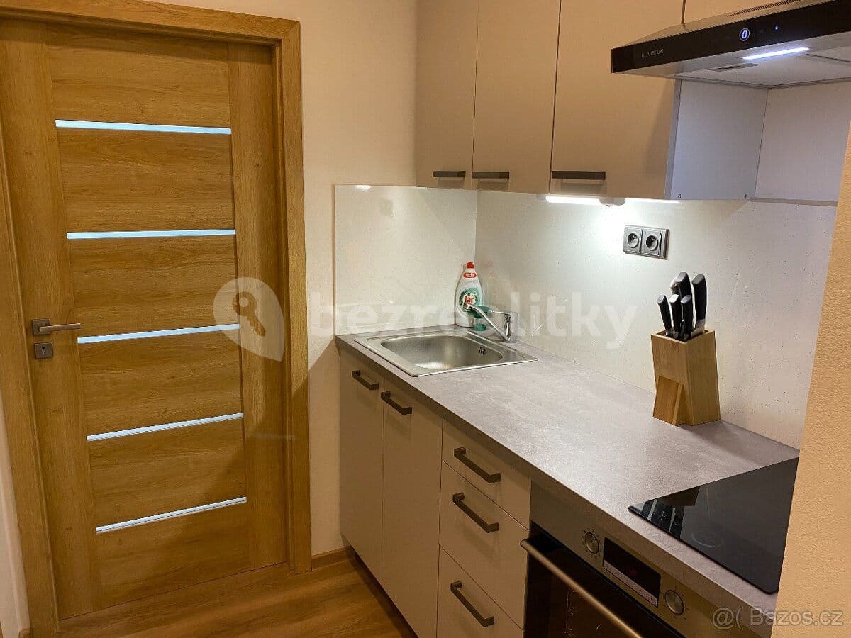 Prenájom bytu 1-izbový 28 m², Novoměstská, Brno, Jihomoravský kraj Prenájom bytu 1-izbový 28 m², Novoměstská, Brno, Jihomoravský kraj