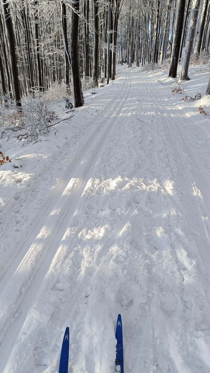 Prenájom rekreačného objektu, Malé Svatoňovice, Královéhradecký kraj Prenájom rekreačného objektu, Malé Svatoňovice, Královéhradecký kraj