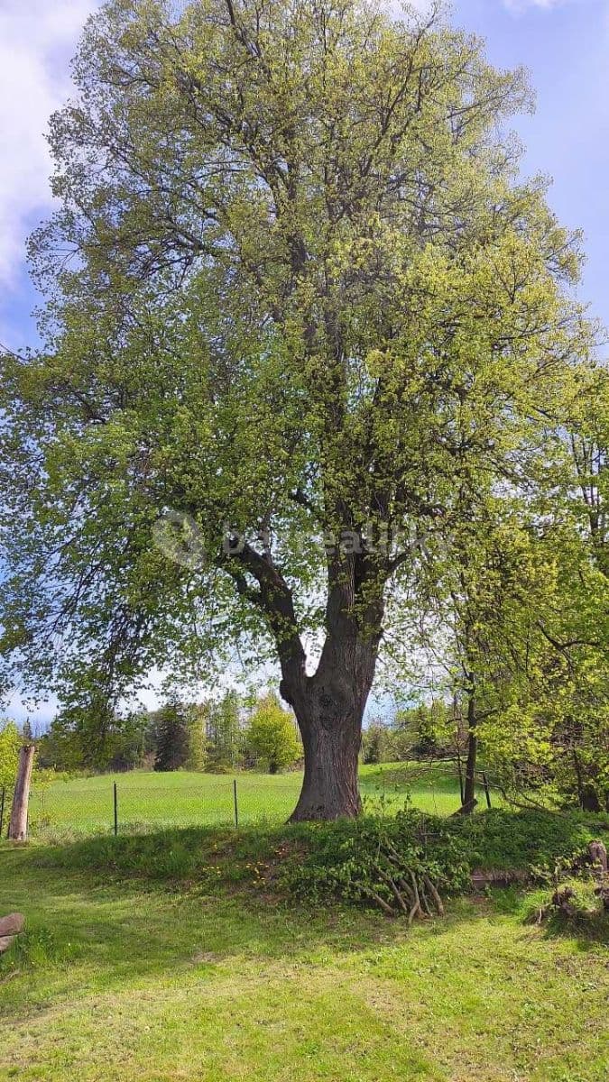 Prenájom rekreačného objektu, Malé Svatoňovice, Královéhradecký kraj Prenájom rekreačného objektu, Malé Svatoňovice, Královéhradecký kraj