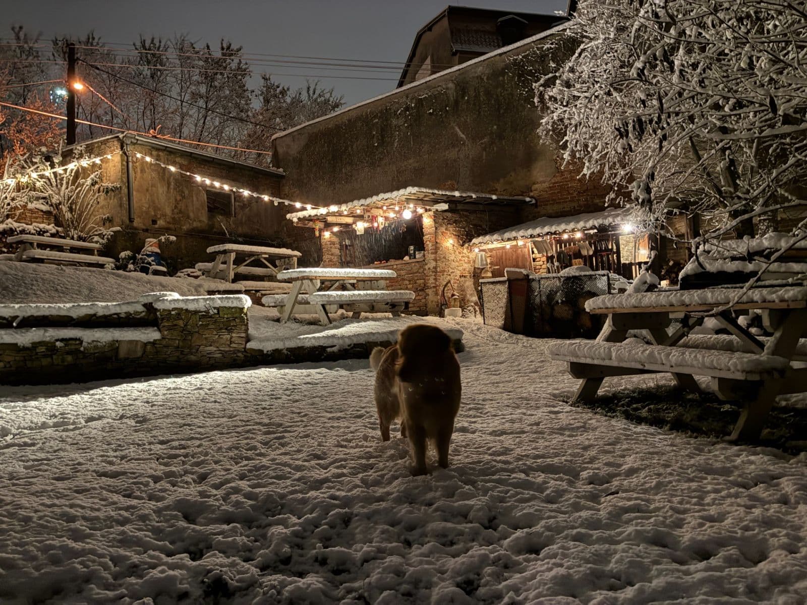Prenájom bytu 2-izbový 74 m², Za Mlýnem, Hostivice, Středočeský kraj Prenájom bytu 2-izbový 74 m², Za Mlýnem, Hostivice, Středočeský kraj
