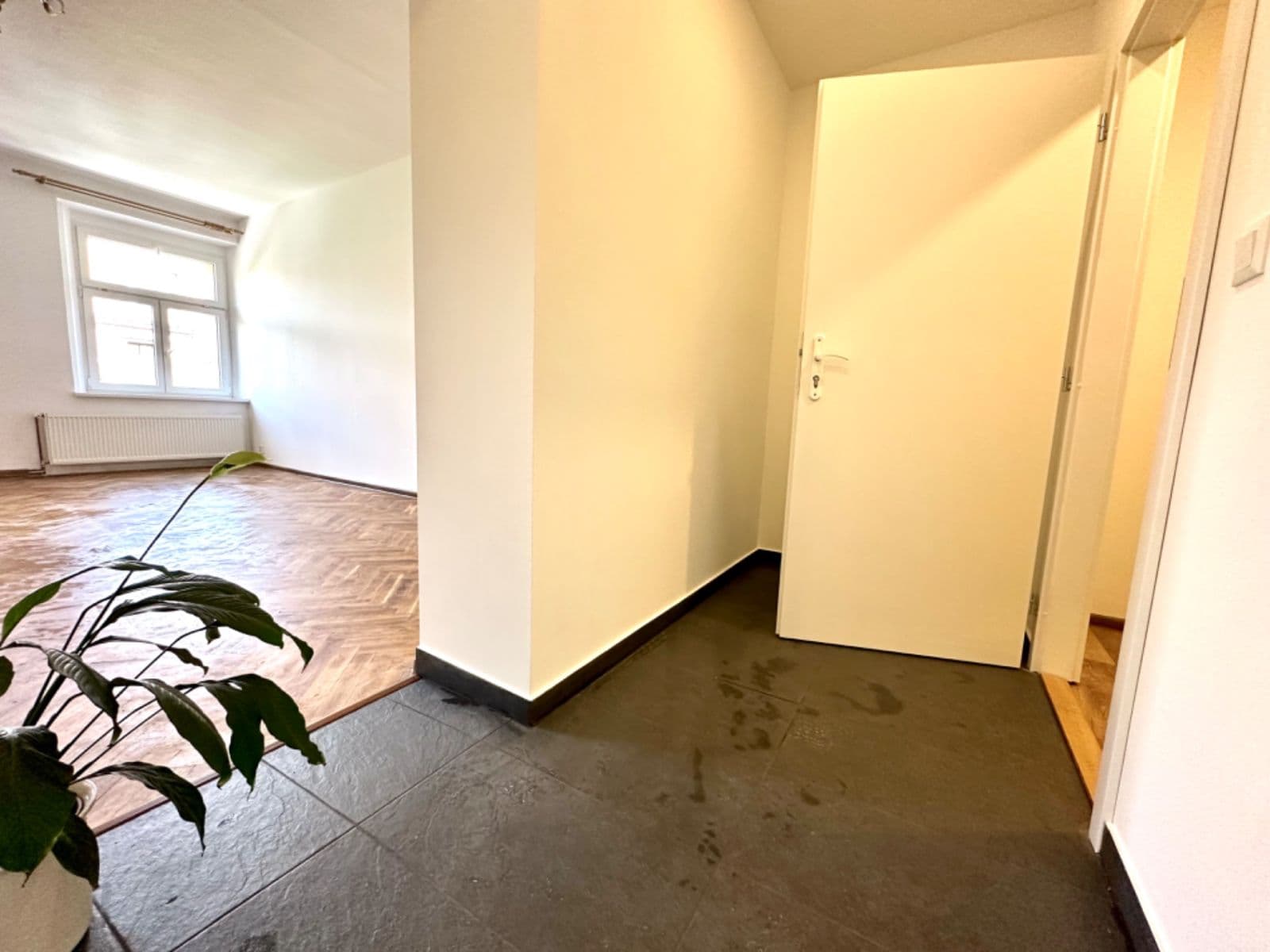 Prenájom bytu 2-izbový 80 m², U Kněžské louky, Praha, Praha Prenájom bytu 2-izbový 80 m², U Kněžské louky, Praha, Praha