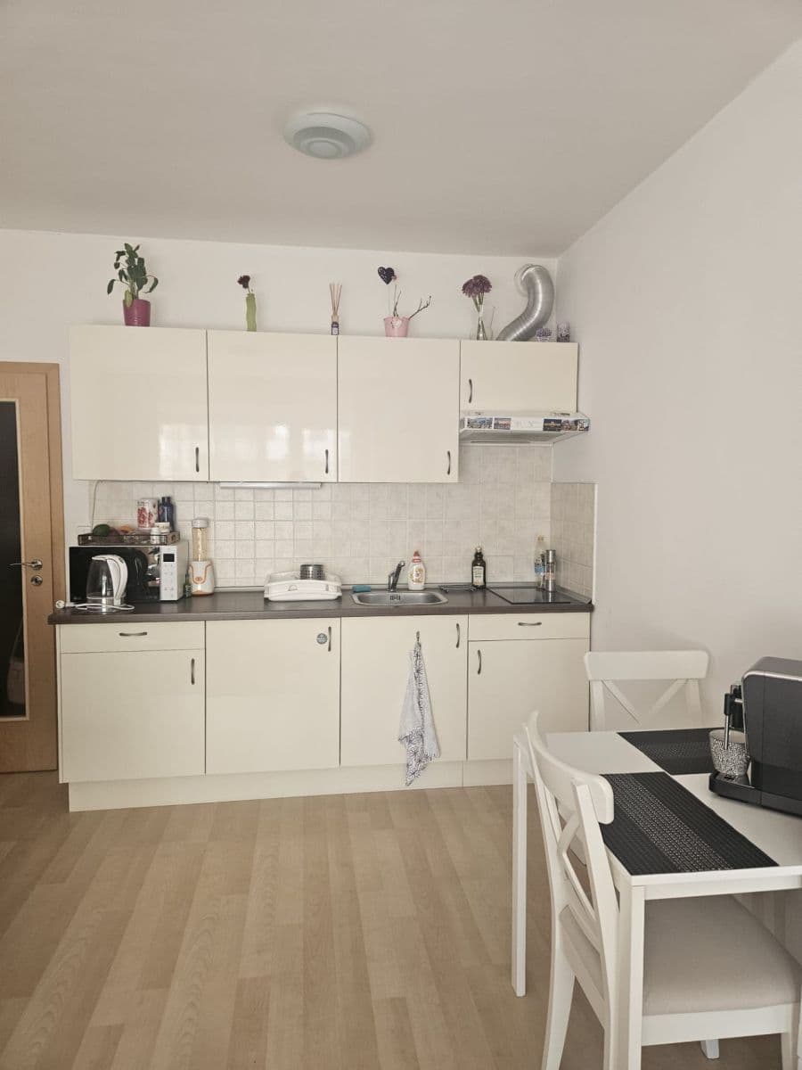 Prenájom bytu 1-izbový 35 m², Prušánecká, Praha, Praha Prenájom bytu 1-izbový 35 m², Prušánecká, Praha, Praha
