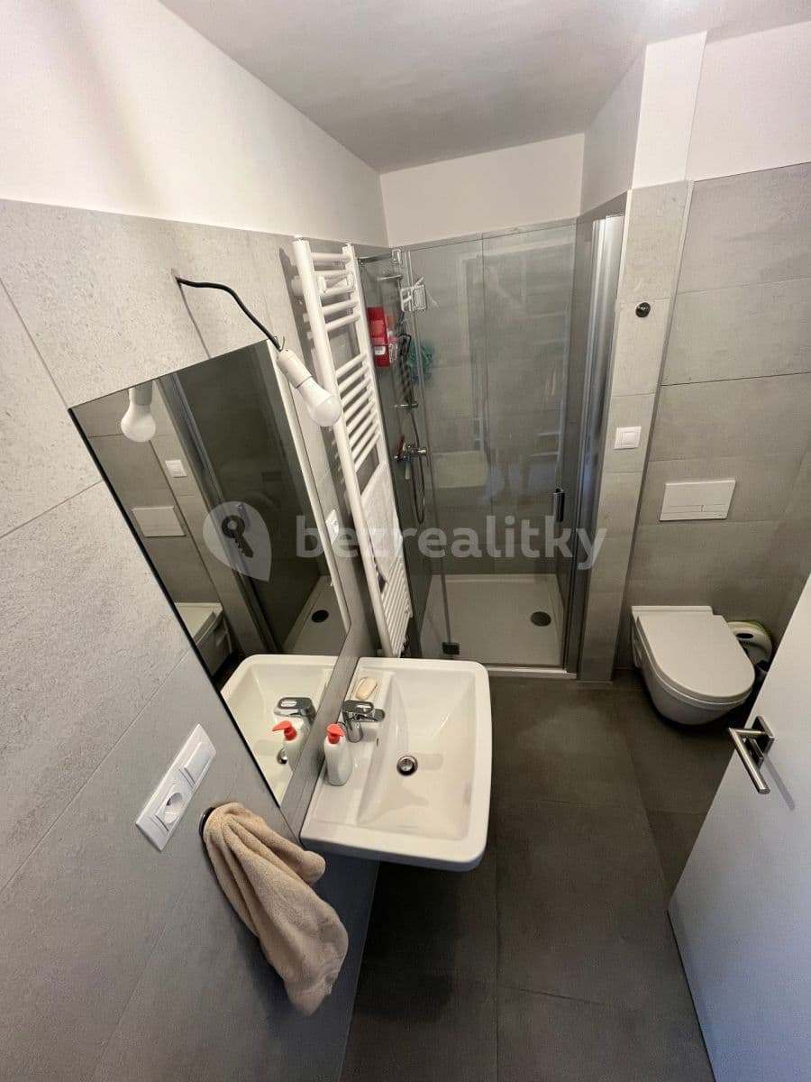 Prenájom bytu 1-izbový 42 m², Reissigova, Brno, Jihomoravský kraj Prenájom bytu 1-izbový 42 m², Reissigova, Brno, Jihomoravský kraj