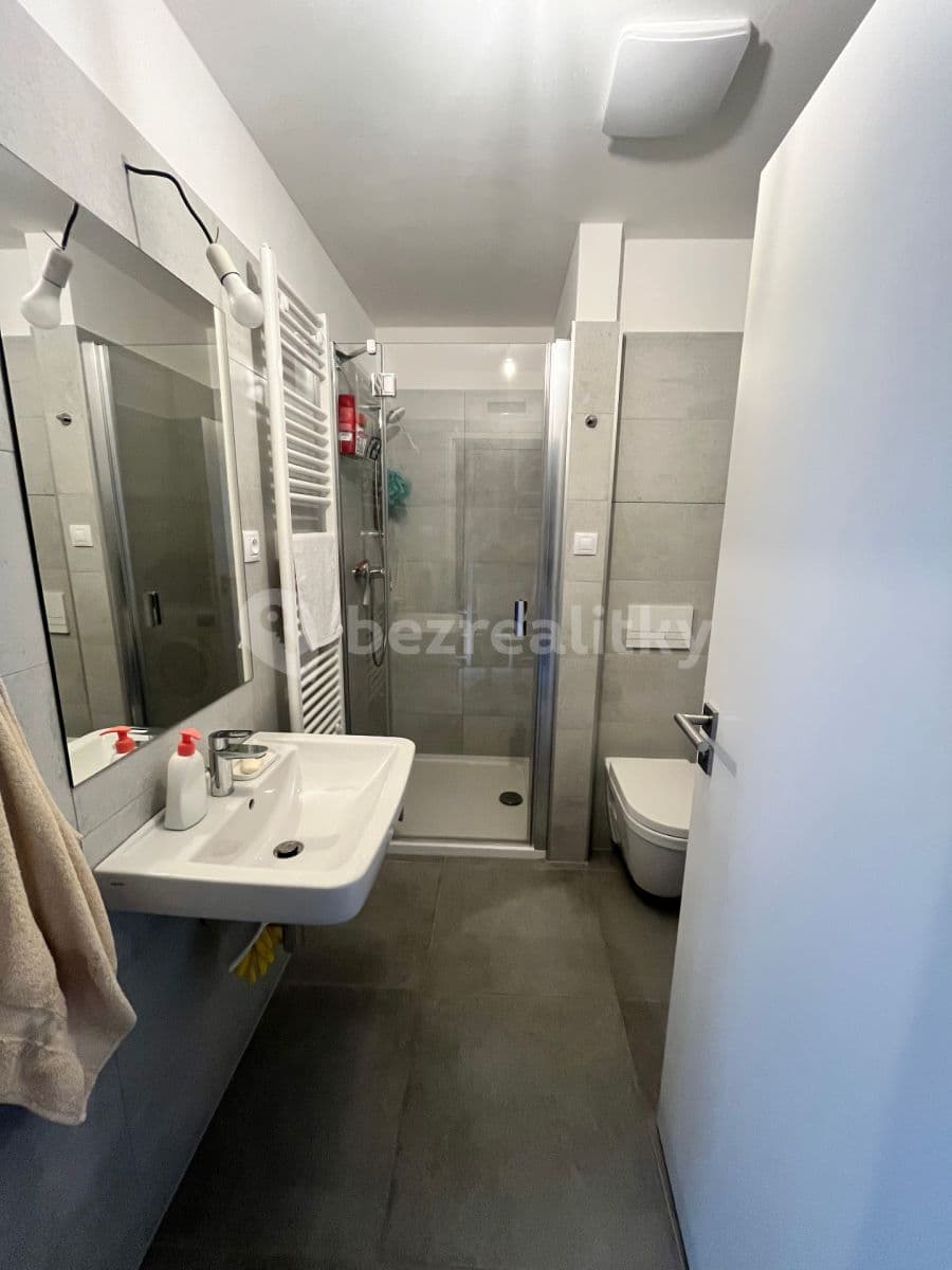 Prenájom bytu 1-izbový 42 m², Reissigova, Brno, Jihomoravský kraj Prenájom bytu 1-izbový 42 m², Reissigova, Brno, Jihomoravský kraj