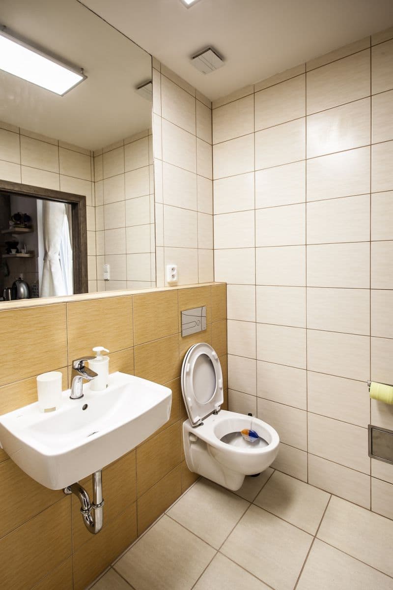 Prenájom bytu 20 m², Lesní, Mariánské Lázně, Karlovarský kraj Prenájom bytu 20 m², Lesní, Mariánské Lázně, Karlovarský kraj