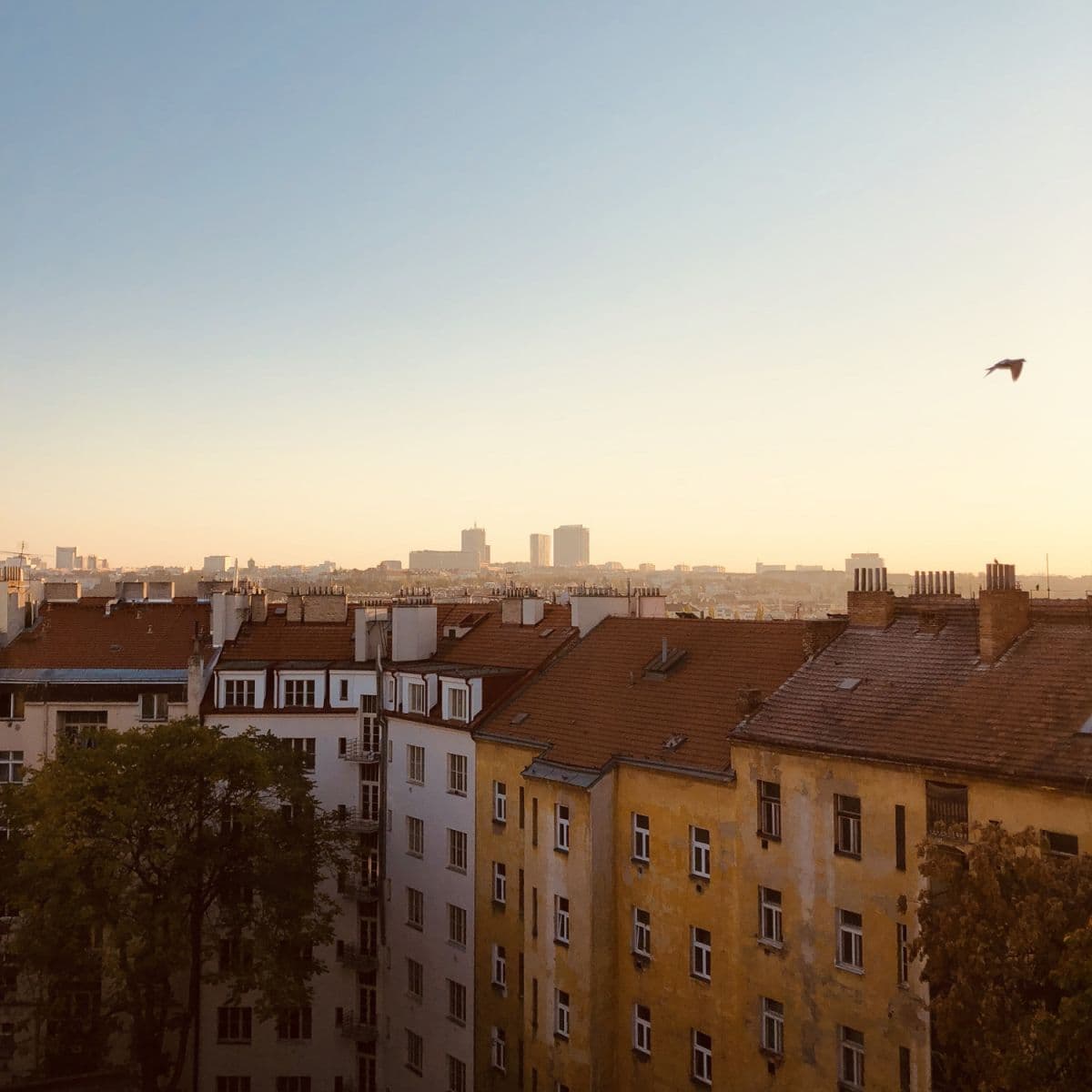 Prenájom bytu 42 m², Moskevská, Praha, Praha Prenájom bytu 42 m², Moskevská, Praha, Praha
