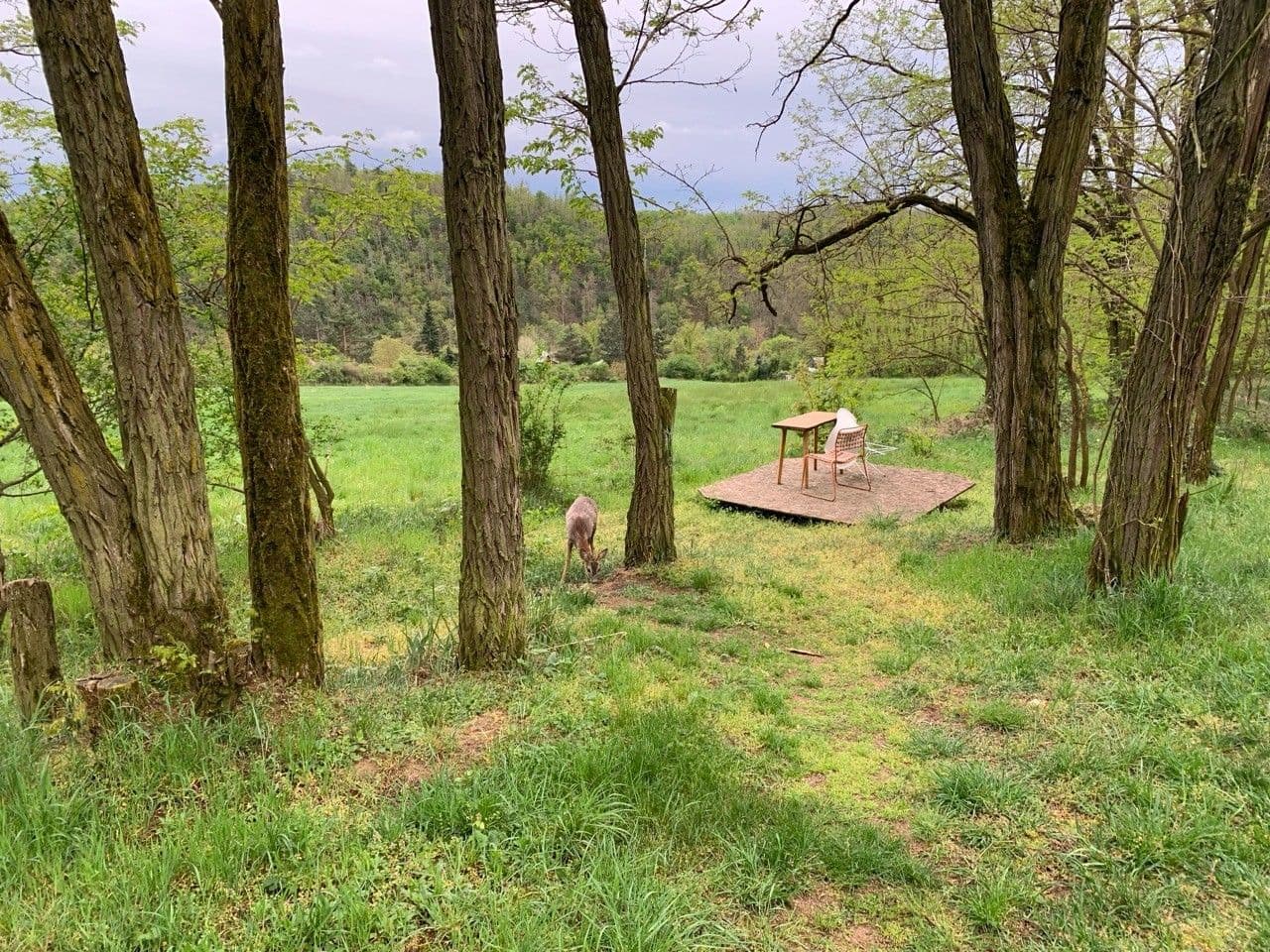 Predaj pozemku 2.112 m², Nebovidy, Jihomoravský kraj Predaj pozemku 2.112 m², Nebovidy, Jihomoravský kraj