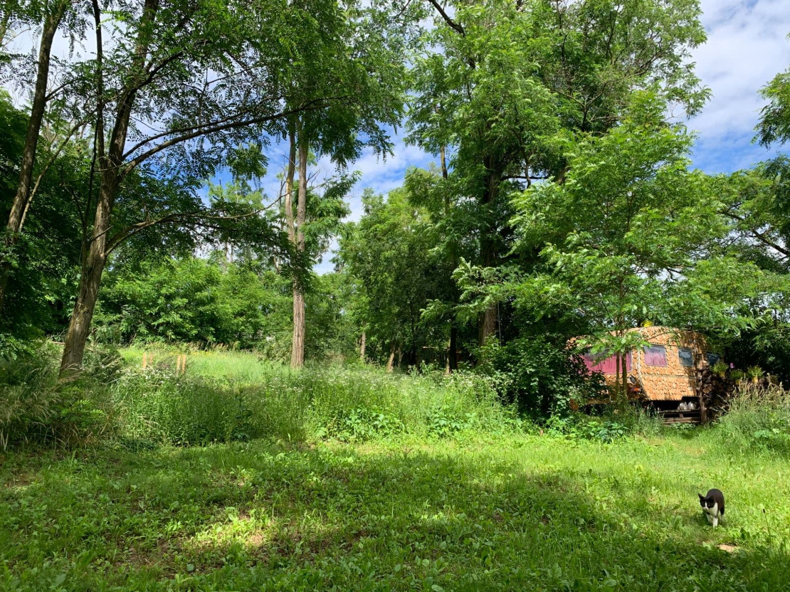 Predaj pozemku 2.112 m², Nebovidy, Jihomoravský kraj Predaj pozemku 2.112 m², Nebovidy, Jihomoravský kraj