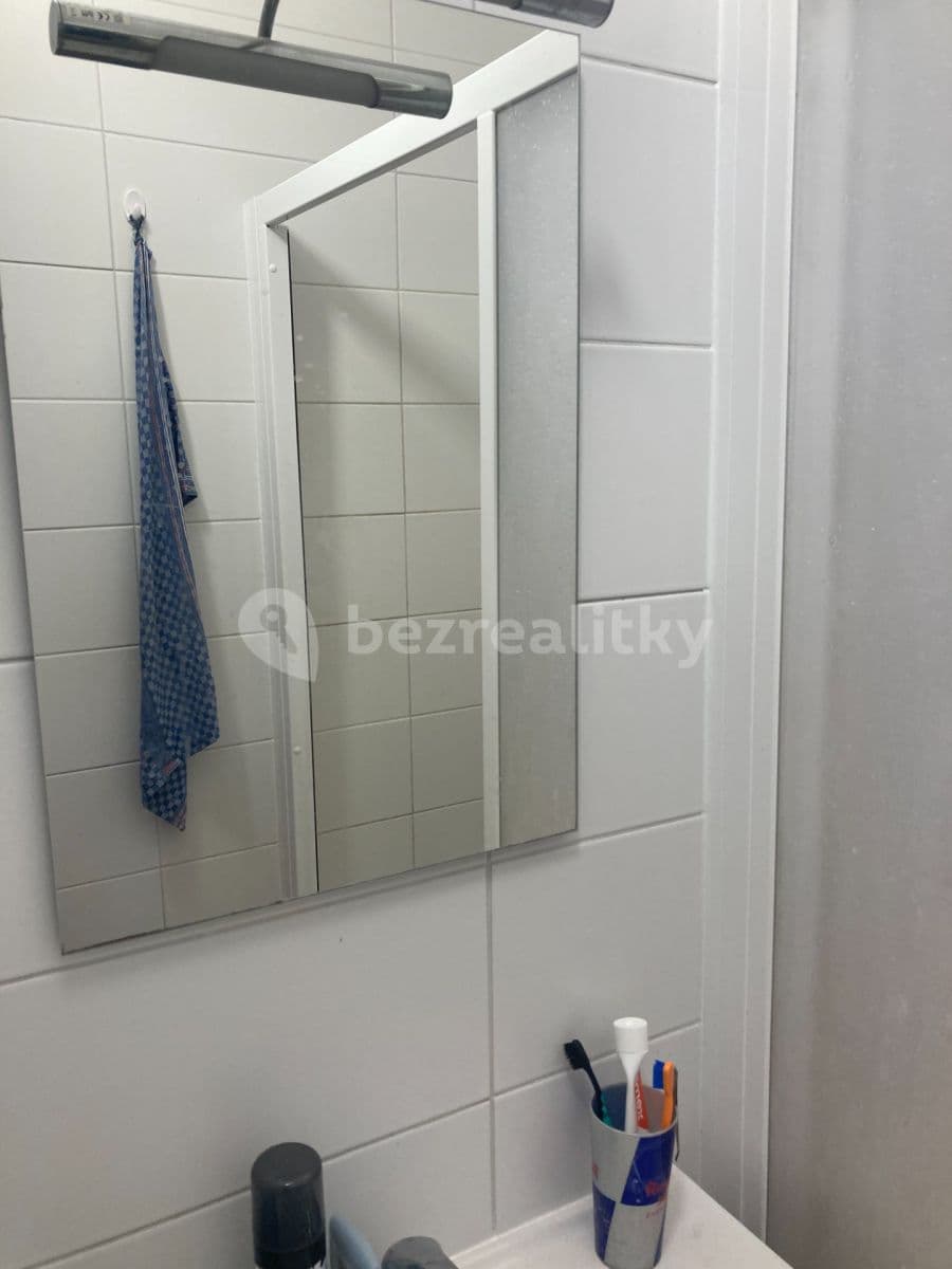 Prenájom bytu 1-izbový 45 m², Rybnická, Brno, Jihomoravský kraj Prenájom bytu 1-izbový 45 m², Rybnická, Brno, Jihomoravský kraj