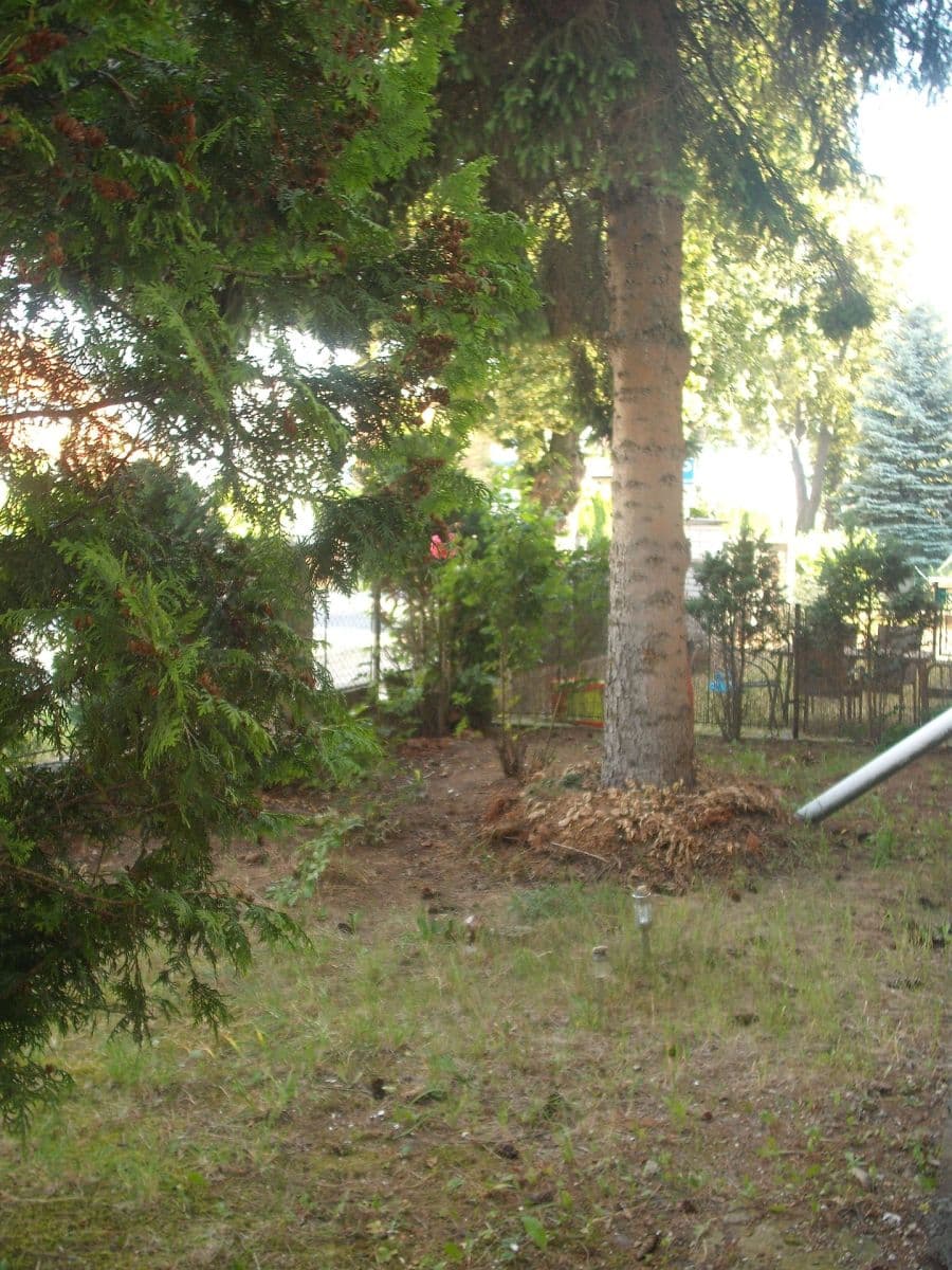 Predaj domu 209 m², pozemek 1.454 m², Pouchovská, Hradec Králové, Královéhradecký kraj Predaj domu 209 m², pozemek 1.454 m², Pouchovská, Hradec Králové, Královéhradecký kraj