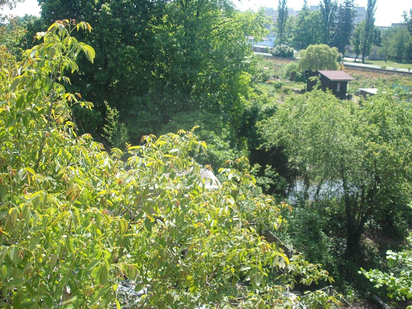 Predaj domu 209 m², pozemek 1.454 m², Pouchovská, Hradec Králové, Královéhradecký kraj Predaj domu 209 m², pozemek 1.454 m², Pouchovská, Hradec Králové, Královéhradecký kraj