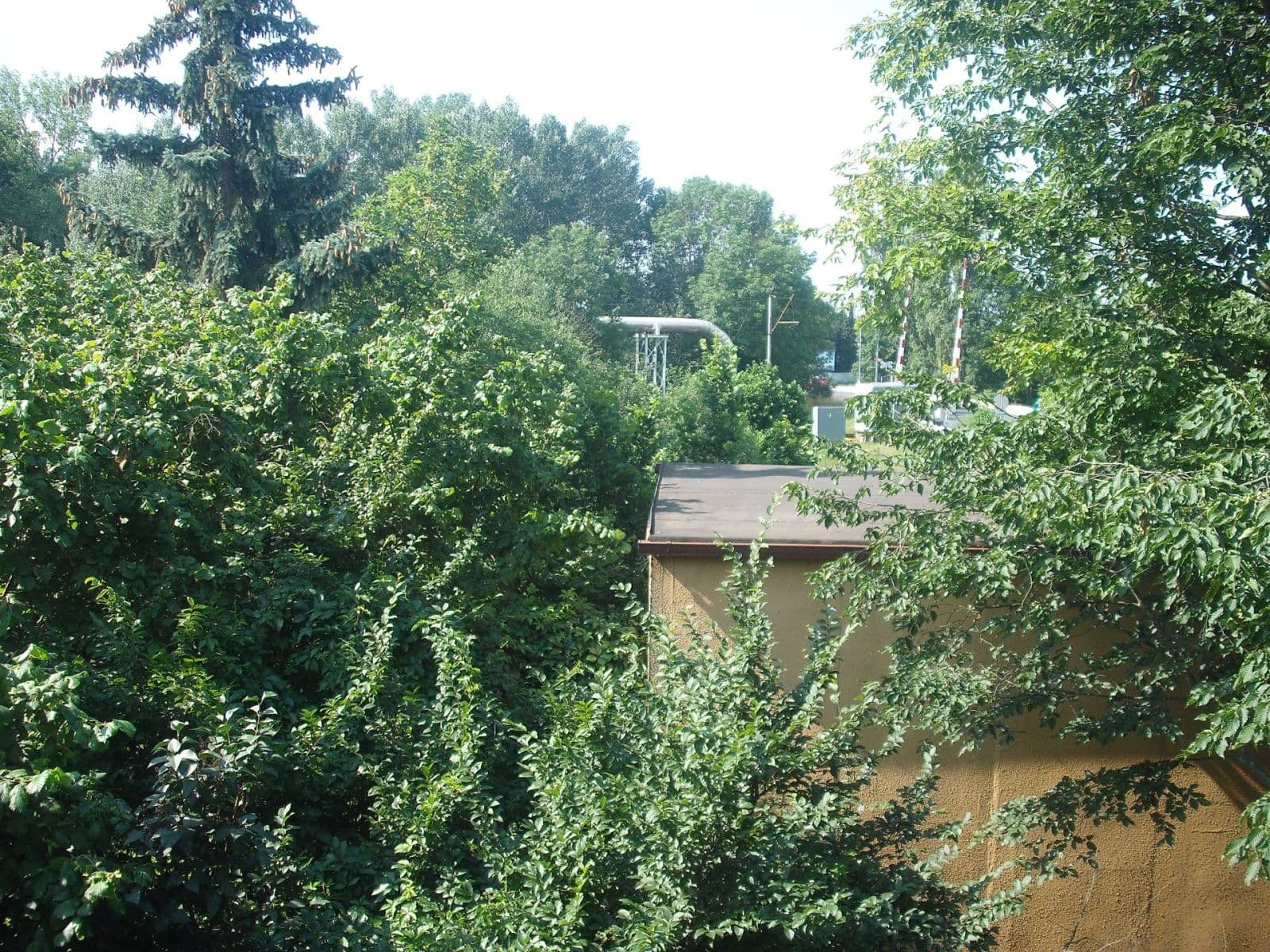 Predaj domu 209 m², pozemek 1.454 m², Pouchovská, Hradec Králové, Královéhradecký kraj Predaj domu 209 m², pozemek 1.454 m², Pouchovská, Hradec Králové, Královéhradecký kraj