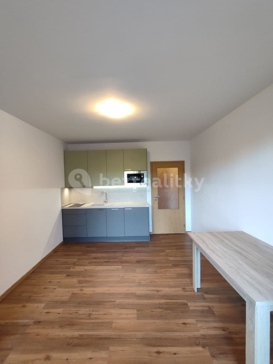 Prenájom bytu 1-izbový 25 m², Božetěchova, Brno, Jihomoravský kraj Prenájom bytu 1-izbový 25 m², Božetěchova, Brno, Jihomoravský kraj