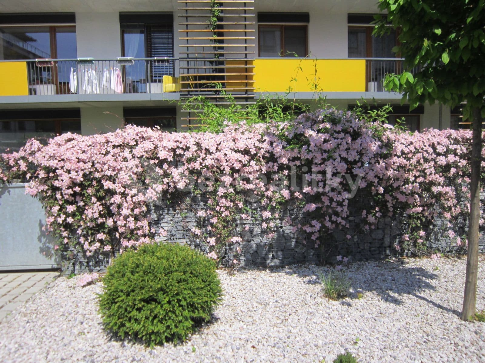 Prenájom bytu 3-izbový 96 m², Plzeňská, Praha, Praha Prenájom bytu 3-izbový 96 m², Plzeňská, Praha, Praha