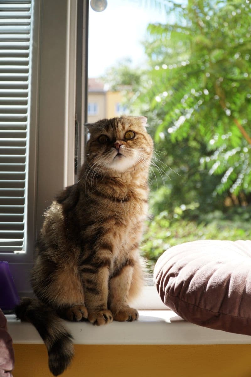 Prenájom bytu 16 m², Biskupcova, Praha, Praha Prenájom bytu 16 m², Biskupcova, Praha, Praha