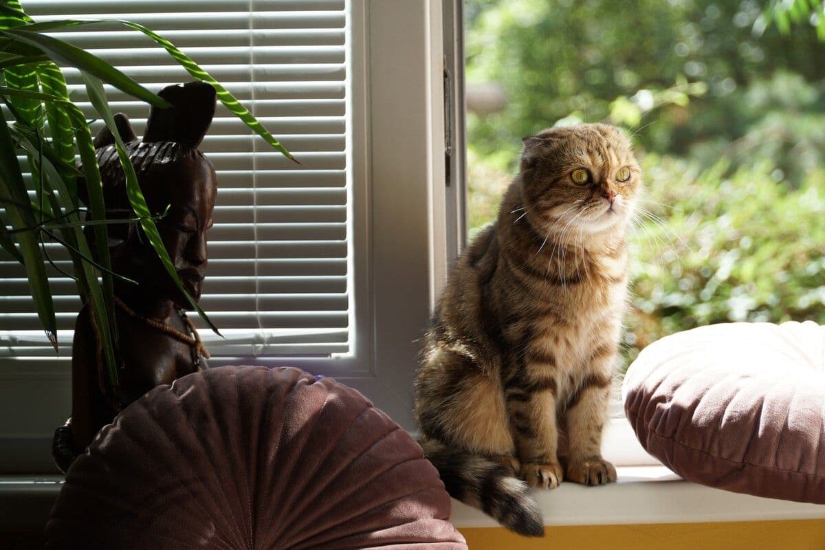 Prenájom bytu 16 m², Biskupcova, Praha, Praha Prenájom bytu 16 m², Biskupcova, Praha, Praha