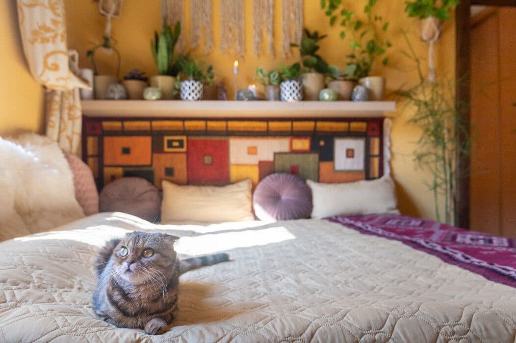 Prenájom bytu 16 m², Biskupcova, Praha, Praha Prenájom bytu 16 m², Biskupcova, Praha, Praha