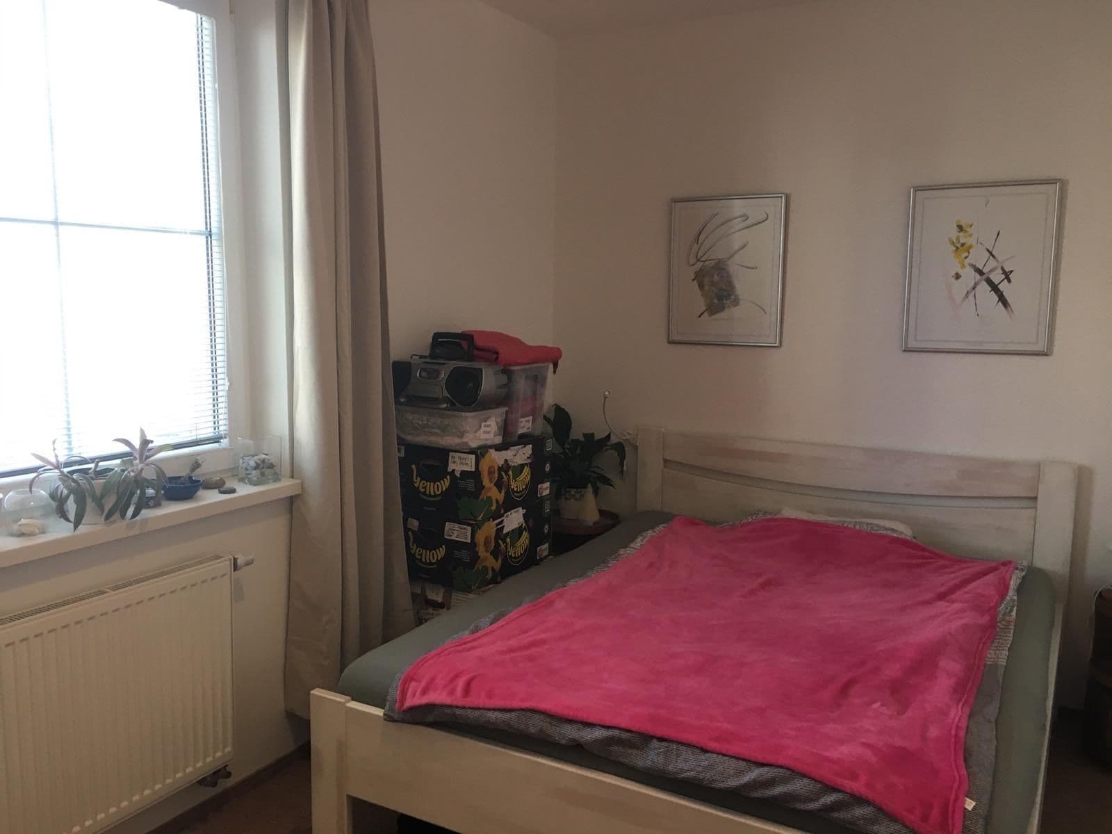 Prenájom bytu 2-izbový 57 m², Okrová, Náchod, Královéhradecký kraj Prenájom bytu 2-izbový 57 m², Okrová, Náchod, Královéhradecký kraj