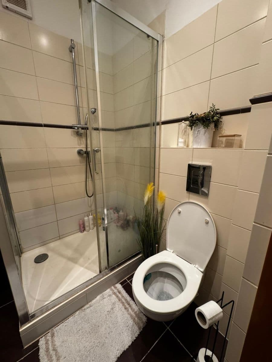 Prenájom bytu 2-izbový 45 m², Zelenky-Hajského, Praha, Praha Prenájom bytu 2-izbový 45 m², Zelenky-Hajského, Praha, Praha