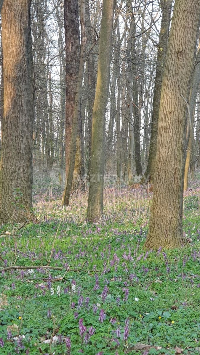 Prenájom domu 200 m², pozemek 970 m², Lhenická, Praha, Praha Prenájom domu 200 m², pozemek 970 m², Lhenická, Praha, Praha