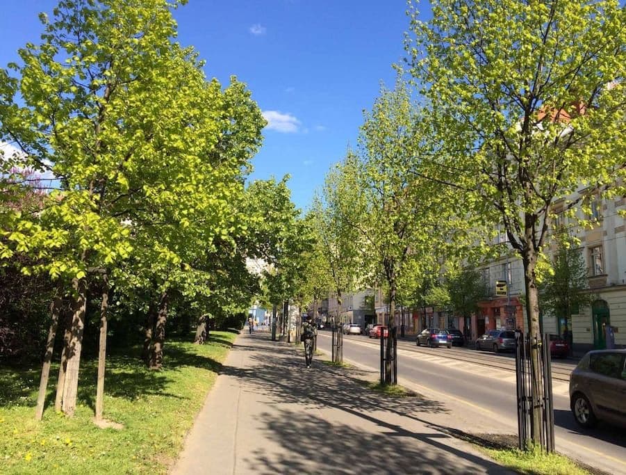 Prenájom bytu 113 m², Čáslavská, Praha, Praha Prenájom bytu 113 m², Čáslavská, Praha, Praha