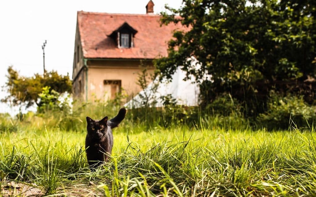 Predaj domu 420 m², pozemek 1.440 m², Jindřichovice pod Smrkem, Liberecký kraj Predaj domu 420 m², pozemek 1.440 m², Jindřichovice pod Smrkem, Liberecký kraj
