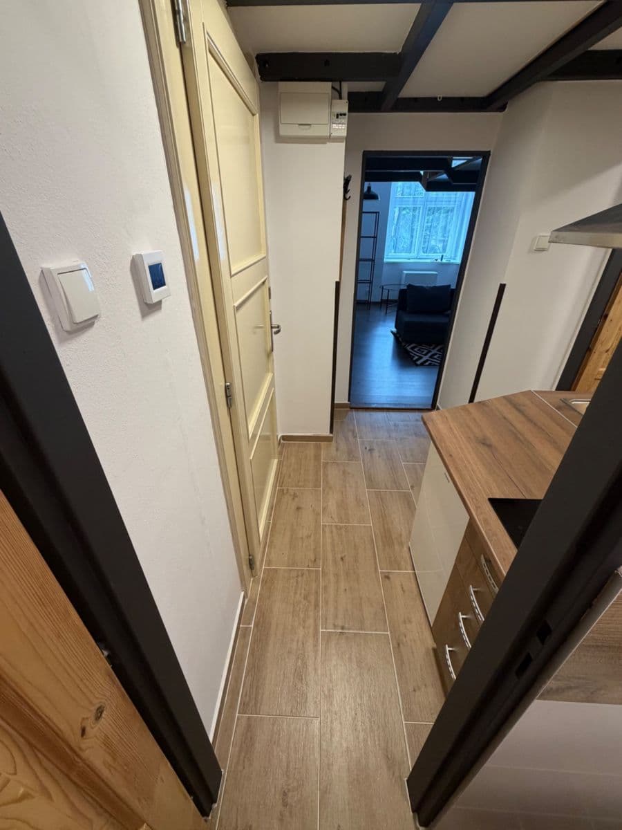 Prenájom bytu 1-izbový 28 m², Ruská, Praha, Praha Prenájom bytu 1-izbový 28 m², Ruská, Praha, Praha