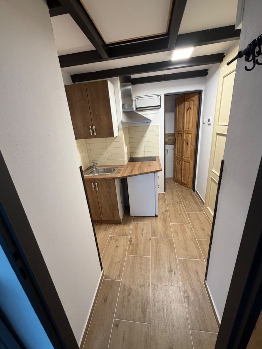 Prenájom bytu 1-izbový 28 m², Ruská, Praha, Praha Prenájom bytu 1-izbový 28 m², Ruská, Praha, Praha