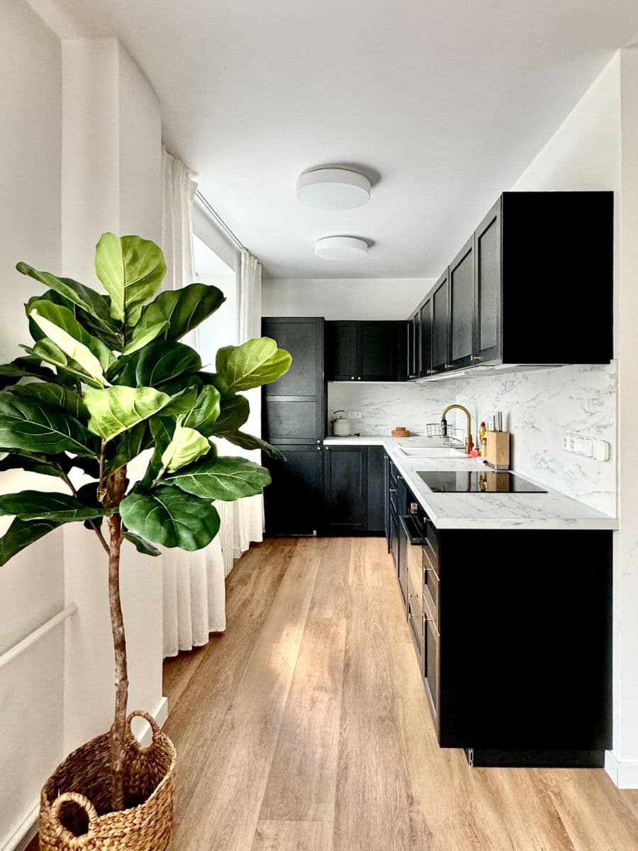 Prenájom bytu 52 m², Vinohradská, Praha, Praha Prenájom bytu 52 m², Vinohradská, Praha, Praha