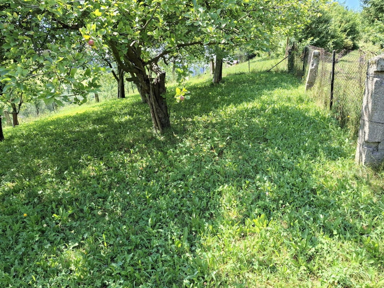 Predaj pozemku 541 m², Hronov, Královéhradecký kraj Predaj pozemku 541 m², Hronov, Královéhradecký kraj