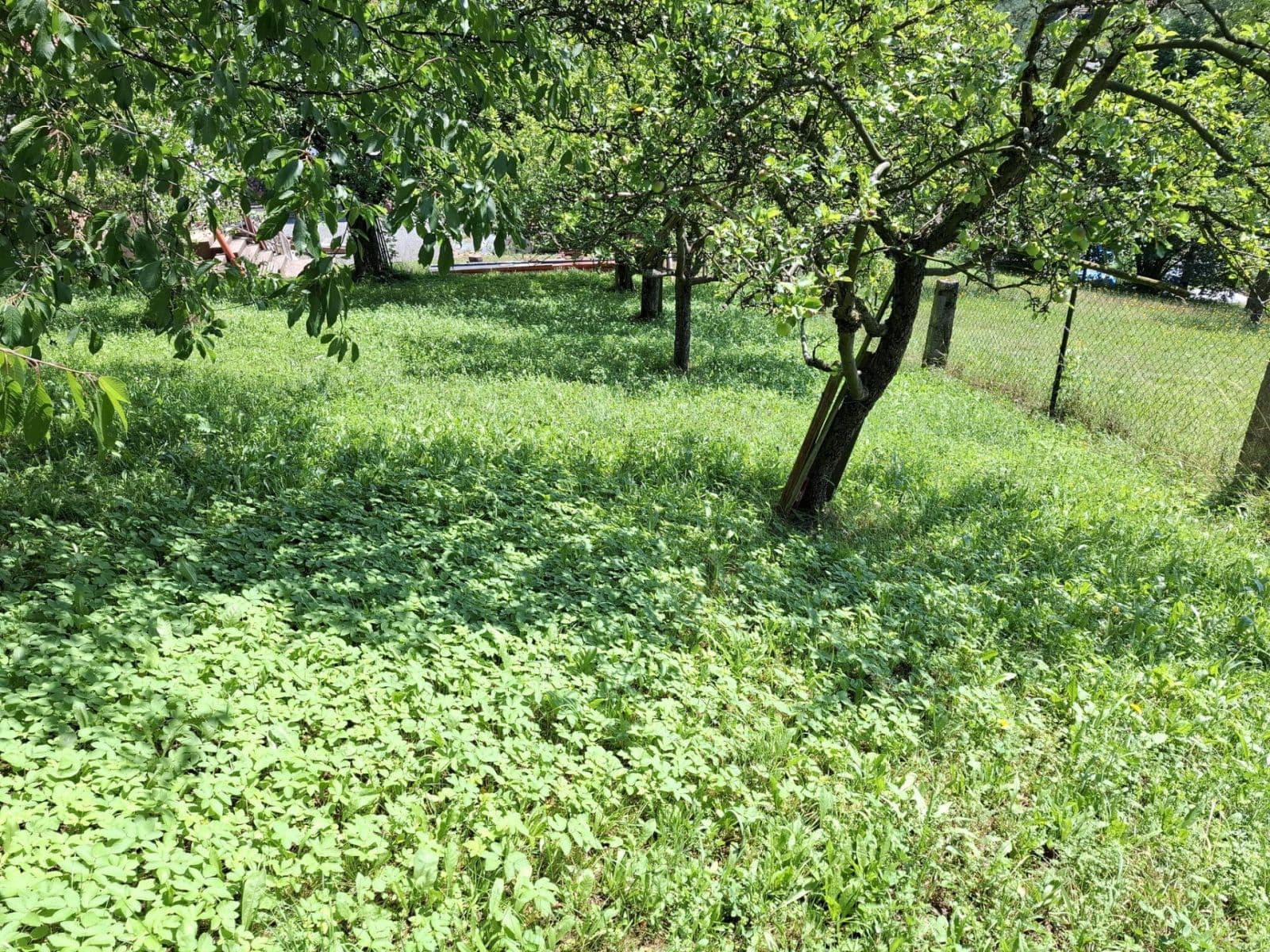 Predaj pozemku 541 m², Hronov, Královéhradecký kraj Predaj pozemku 541 m², Hronov, Královéhradecký kraj