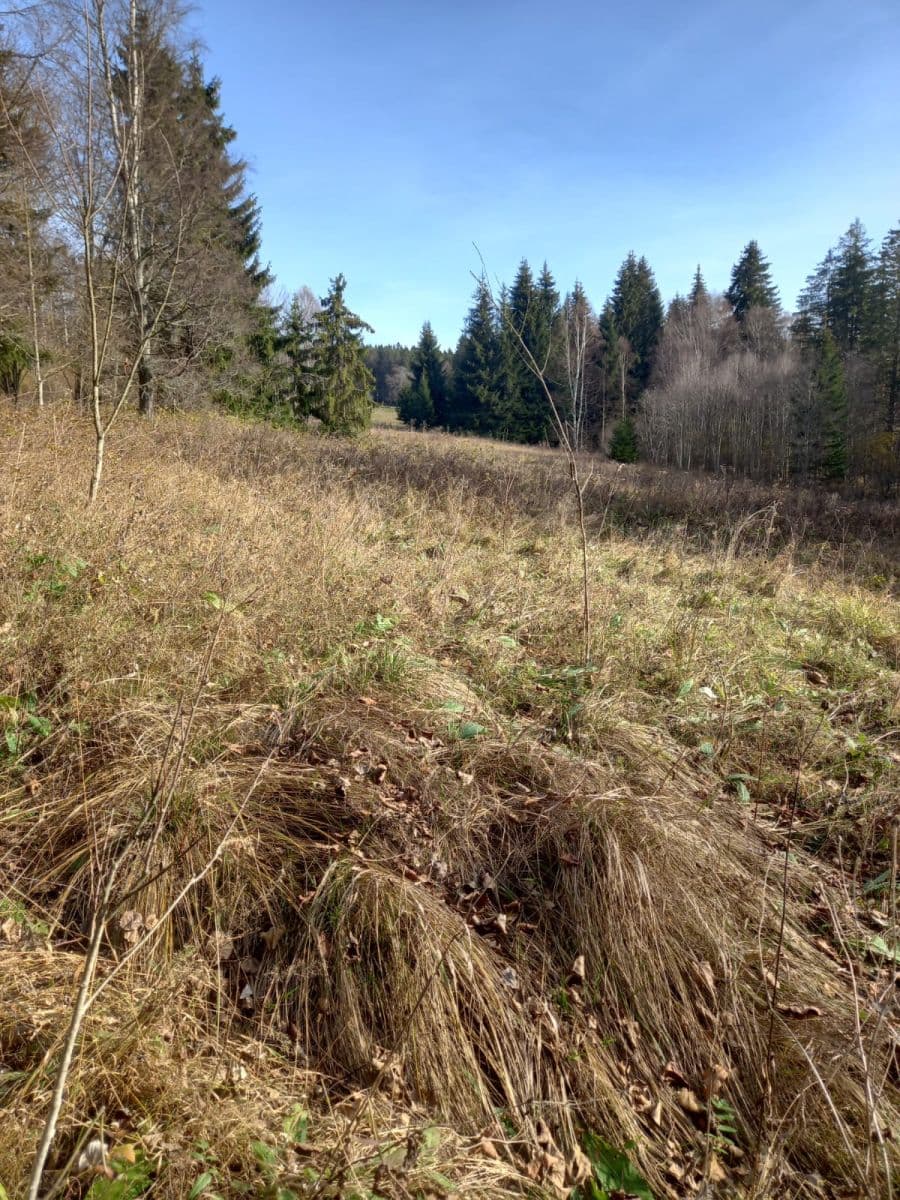 Predaj pozemku 1.000 m², Borová Lada, Jihočeský kraj Predaj pozemku 1.000 m², Borová Lada, Jihočeský kraj