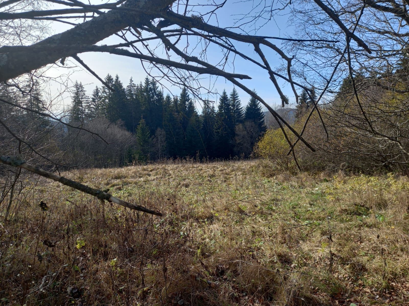 Predaj pozemku 1.000 m², Borová Lada, Jihočeský kraj Predaj pozemku 1.000 m², Borová Lada, Jihočeský kraj