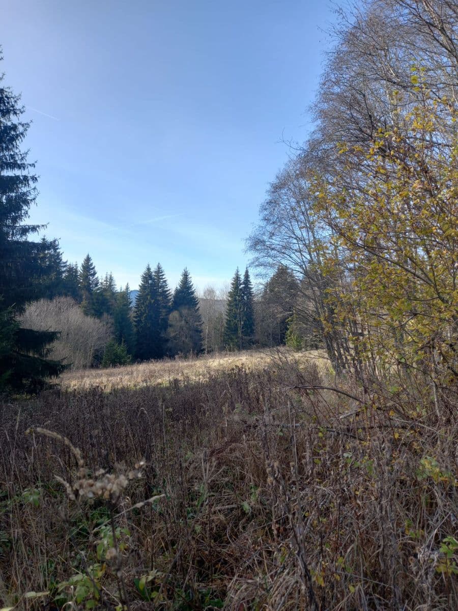 Predaj pozemku 1.000 m², Borová Lada, Jihočeský kraj Predaj pozemku 1.000 m², Borová Lada, Jihočeský kraj