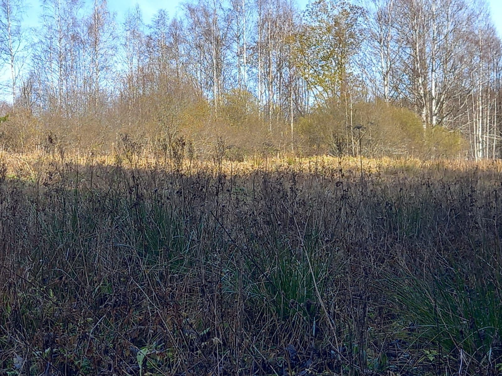 Predaj pozemku 1.000 m², Borová Lada, Jihočeský kraj Predaj pozemku 1.000 m², Borová Lada, Jihočeský kraj