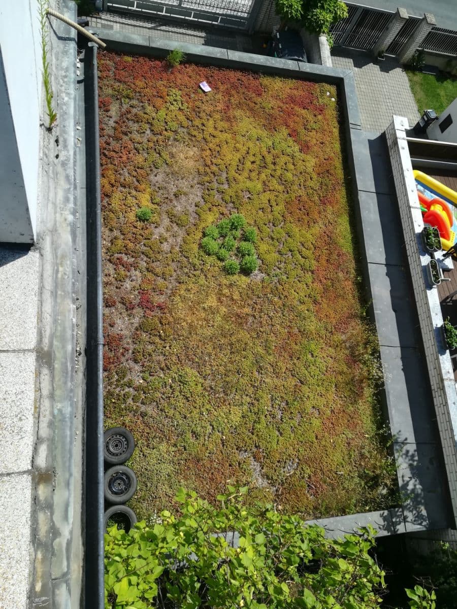 Prenájom bytu 300 m², Révová, Praha, Praha Prenájom bytu 300 m², Révová, Praha, Praha