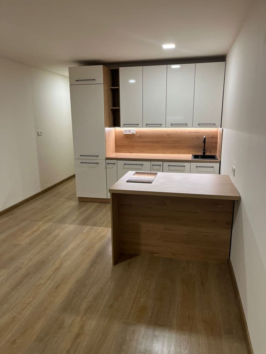 Prenájom bytu 1-izbový 30 m², U Parku, Ostrava, Moravskoslezský kraj Prenájom bytu 1-izbový 30 m², U Parku, Ostrava, Moravskoslezský kraj