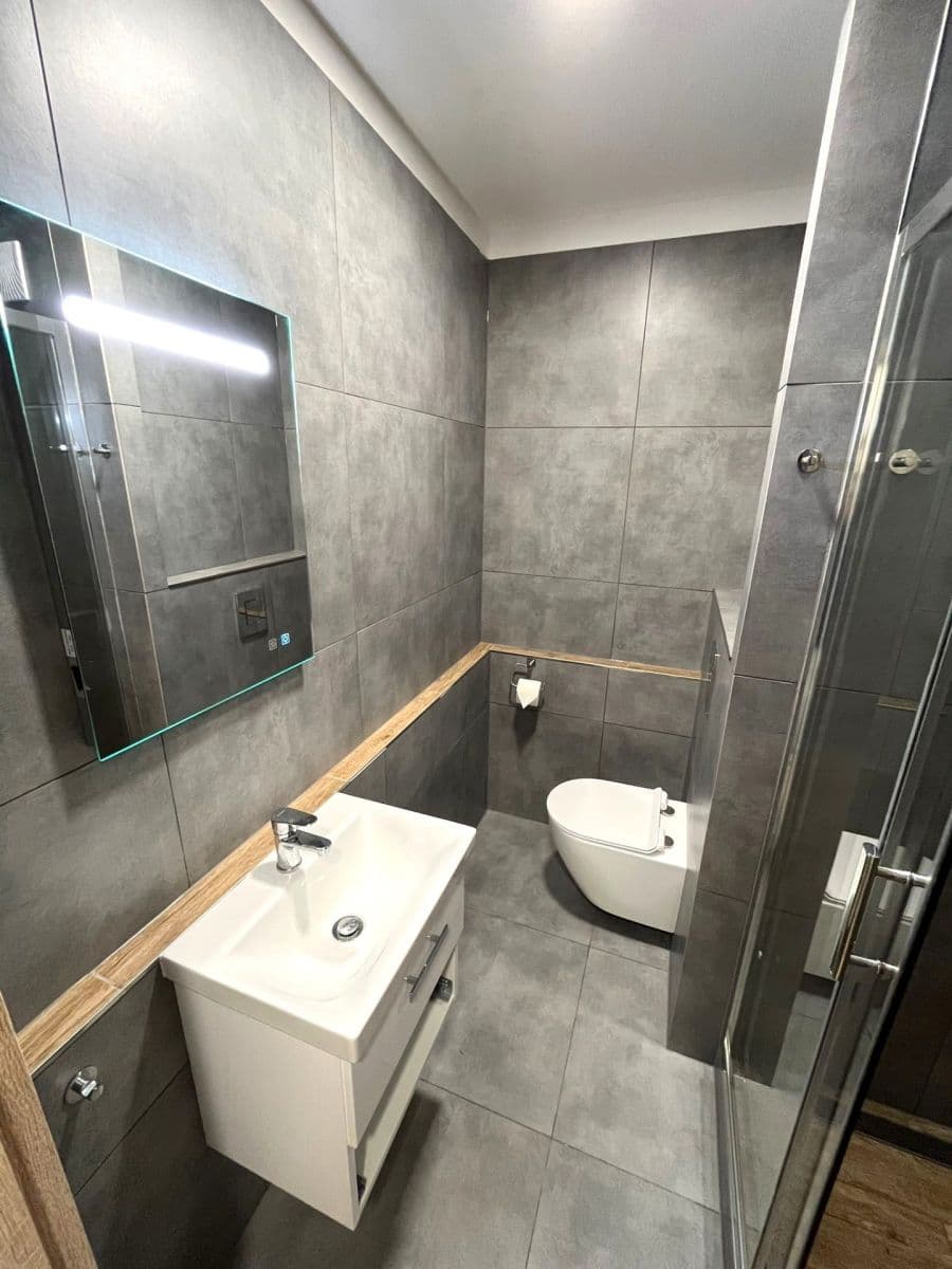 Prenájom bytu 1-izbový 30 m², U Parku, Ostrava, Moravskoslezský kraj Prenájom bytu 1-izbový 30 m², U Parku, Ostrava, Moravskoslezský kraj