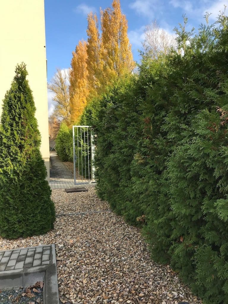 Prenájom bytu 1-izbový 37 m², Rušná, Brno, Jihomoravský kraj Prenájom bytu 1-izbový 37 m², Rušná, Brno, Jihomoravský kraj