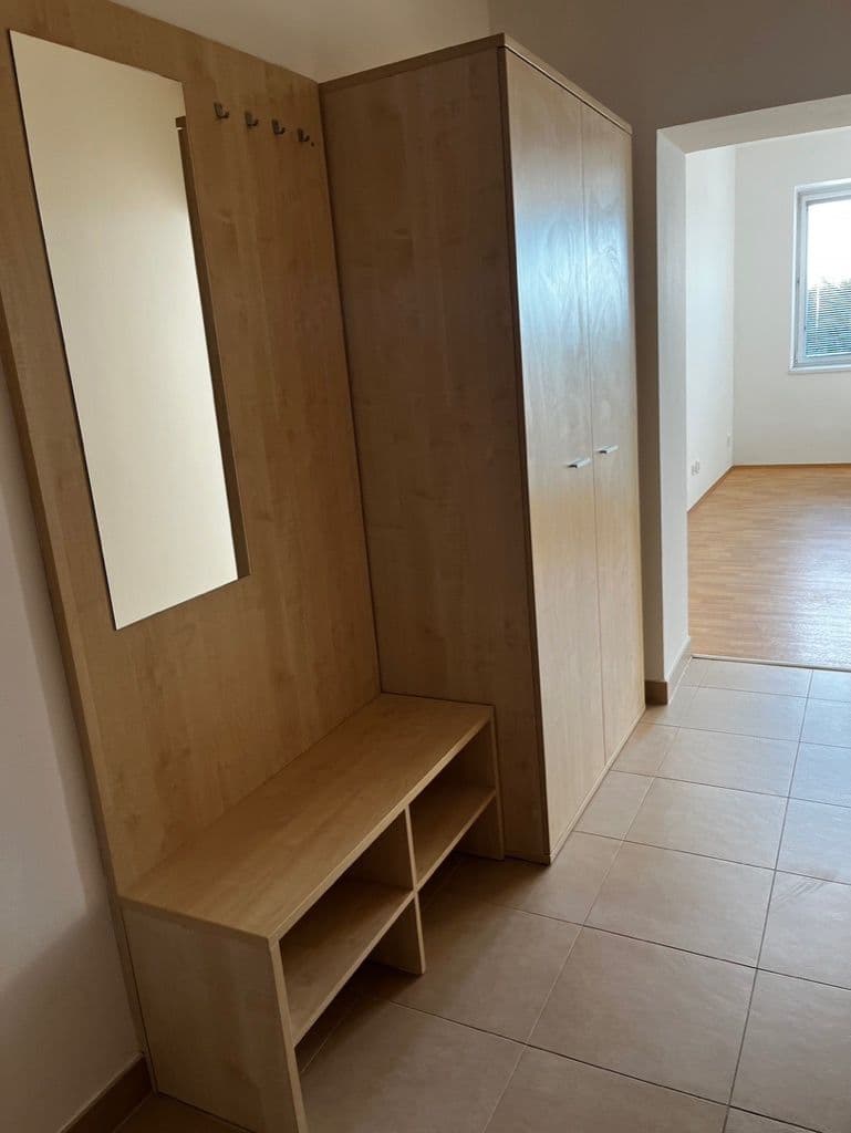 Prenájom bytu 1-izbový 37 m², Rušná, Brno, Jihomoravský kraj Prenájom bytu 1-izbový 37 m², Rušná, Brno, Jihomoravský kraj
