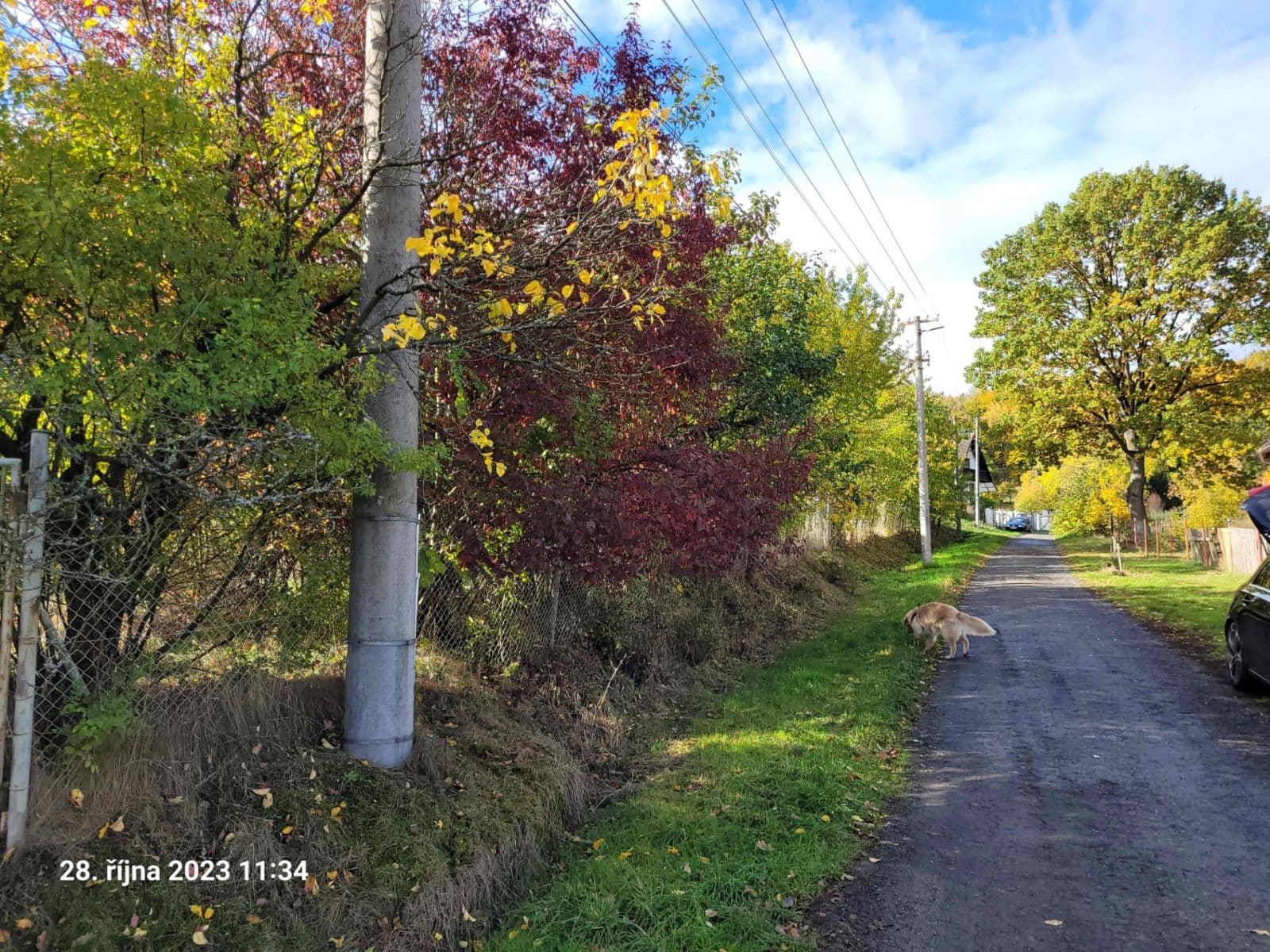 Predaj pozemku 1.161 m², Koloveč, Plzeňský kraj Predaj pozemku 1.161 m², Koloveč, Plzeňský kraj