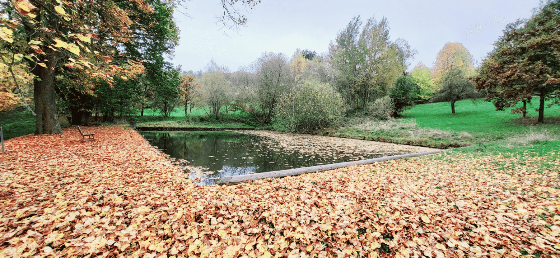 Predaj pozemku 1.161 m², Koloveč, Plzeňský kraj Predaj pozemku 1.161 m², Koloveč, Plzeňský kraj
