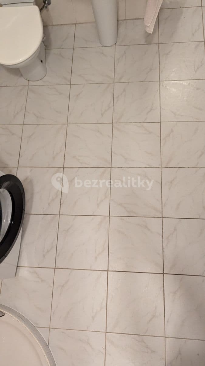 Prenájom bytu 3-izbový 110 m², Rooseveltova, Ústí nad Labem, Ústecký kraj Prenájom bytu 3-izbový 110 m², Rooseveltova, Ústí nad Labem, Ústecký kraj