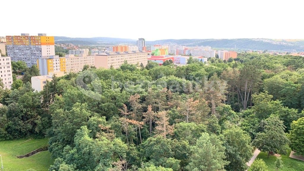 Prenájom bytu 3-izbový 65 m², Hasova, Praha, Praha Prenájom bytu 3-izbový 65 m², Hasova, Praha, Praha