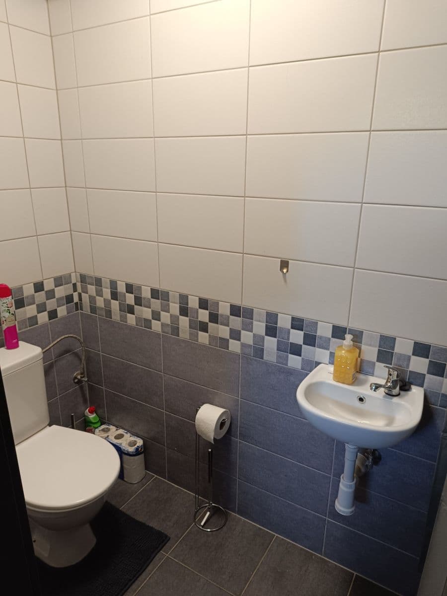 Predaj domu 198 m², pozemek 1.029 m², Na Louce, Luby, Karlovarský kraj Predaj domu 198 m², pozemek 1.029 m², Na Louce, Luby, Karlovarský kraj