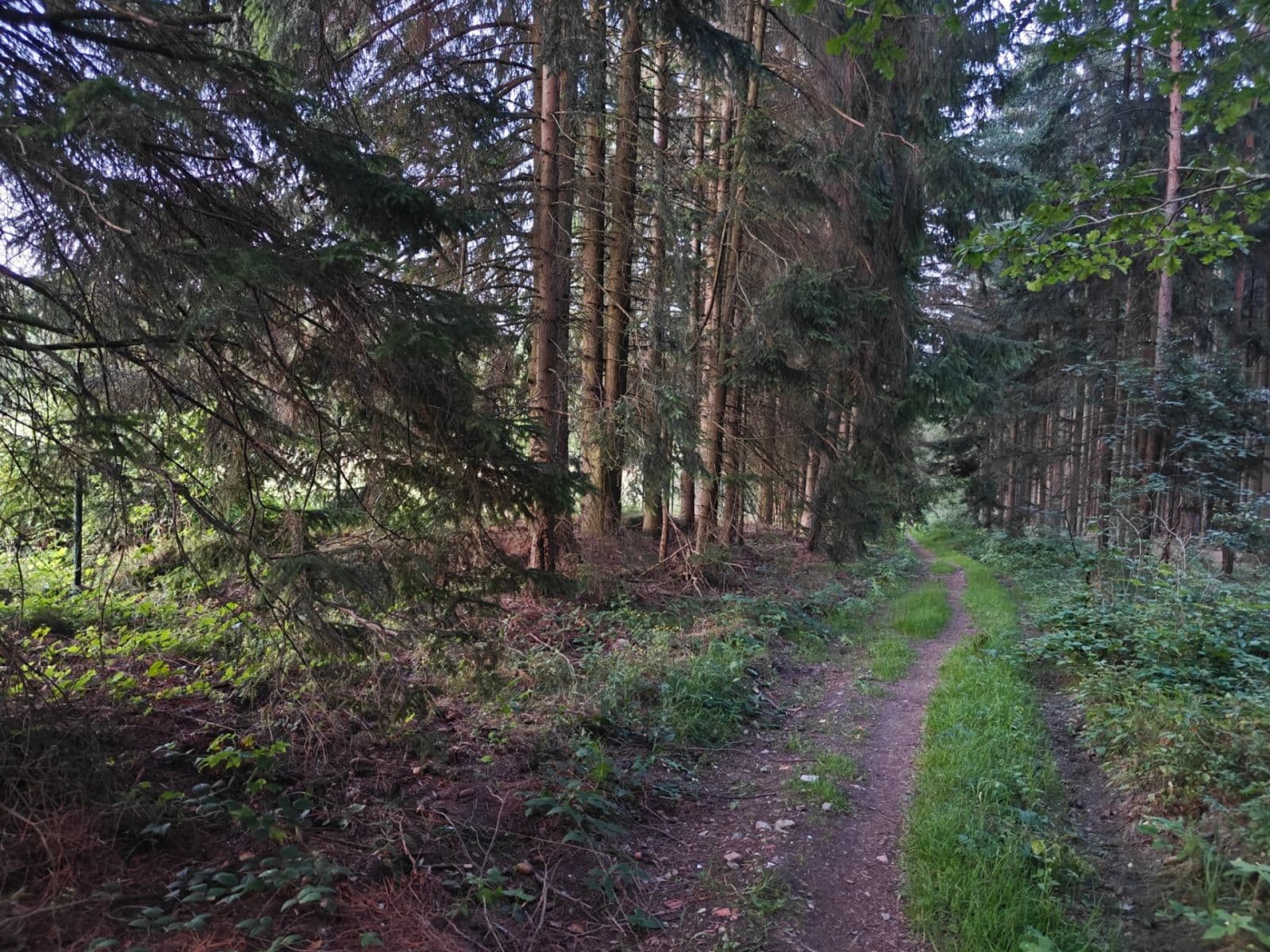 Predaj pozemku 14.175 m², Příbram, Středočeský kraj Predaj pozemku 14.175 m², Příbram, Středočeský kraj