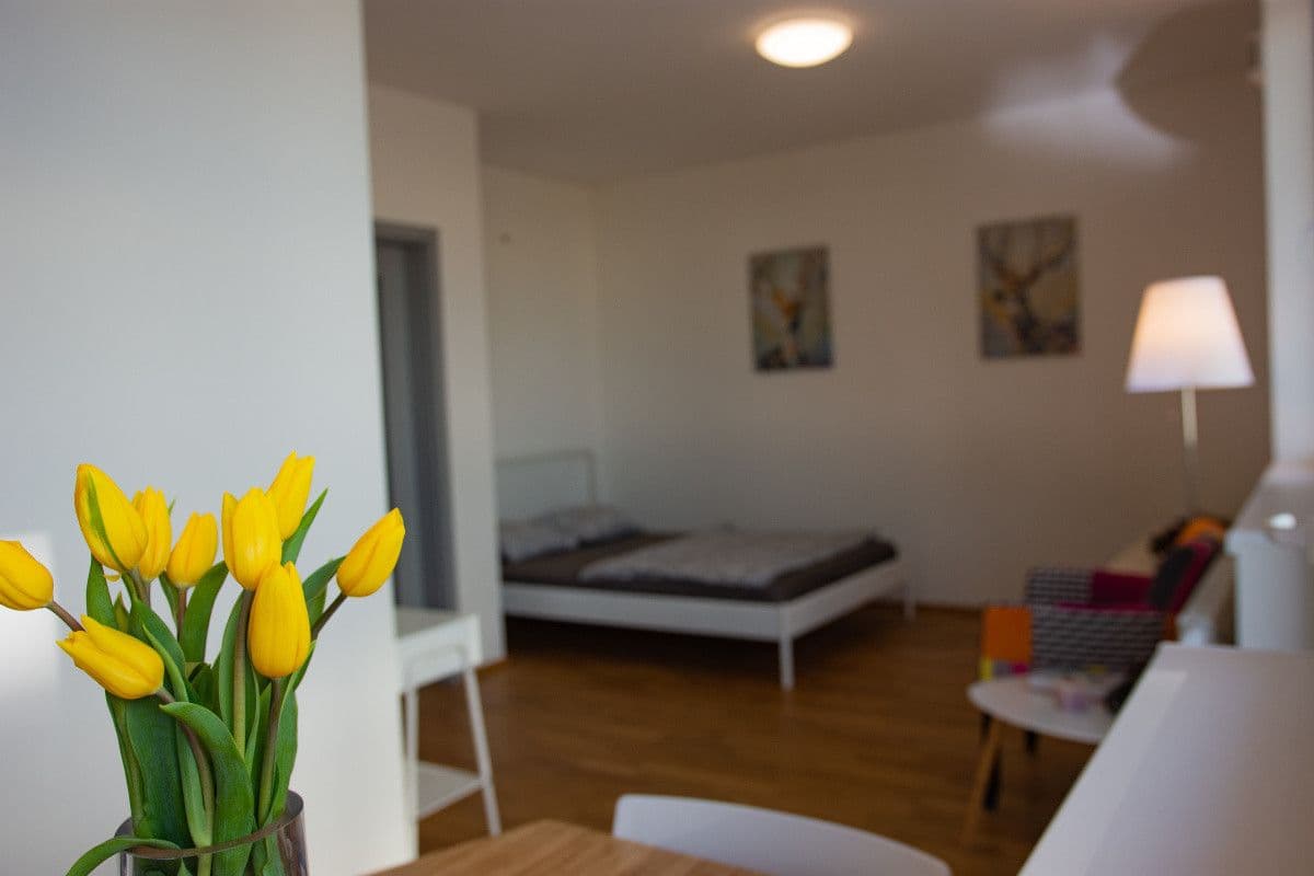 Prenájom bytu 39 m², Pod Stolovou Horou, Praha, Praha Prenájom bytu 39 m², Pod Stolovou Horou, Praha, Praha