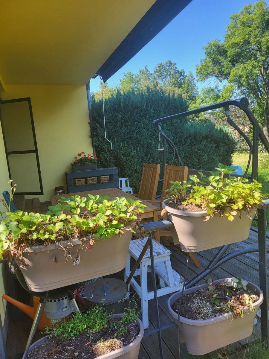 Prenájom bytu 54 m², V Sedlci b, Praha, Praha Prenájom bytu 54 m², V Sedlci b, Praha, Praha