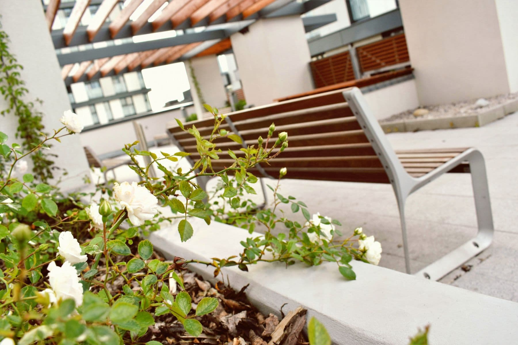 Prenájom bytu 85 m², Olšanská d, Praha, Praha Prenájom bytu 85 m², Olšanská d, Praha, Praha