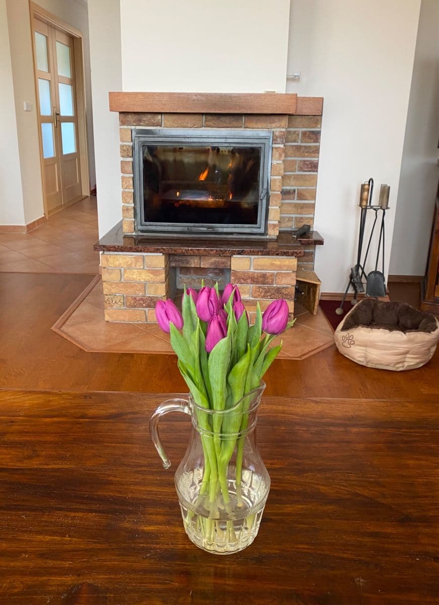 Predaj domu 114 m², pozemek 905 m², Mnichovo Hradiště, Středočeský kraj Predaj domu 114 m², pozemek 905 m², Mnichovo Hradiště, Středočeský kraj